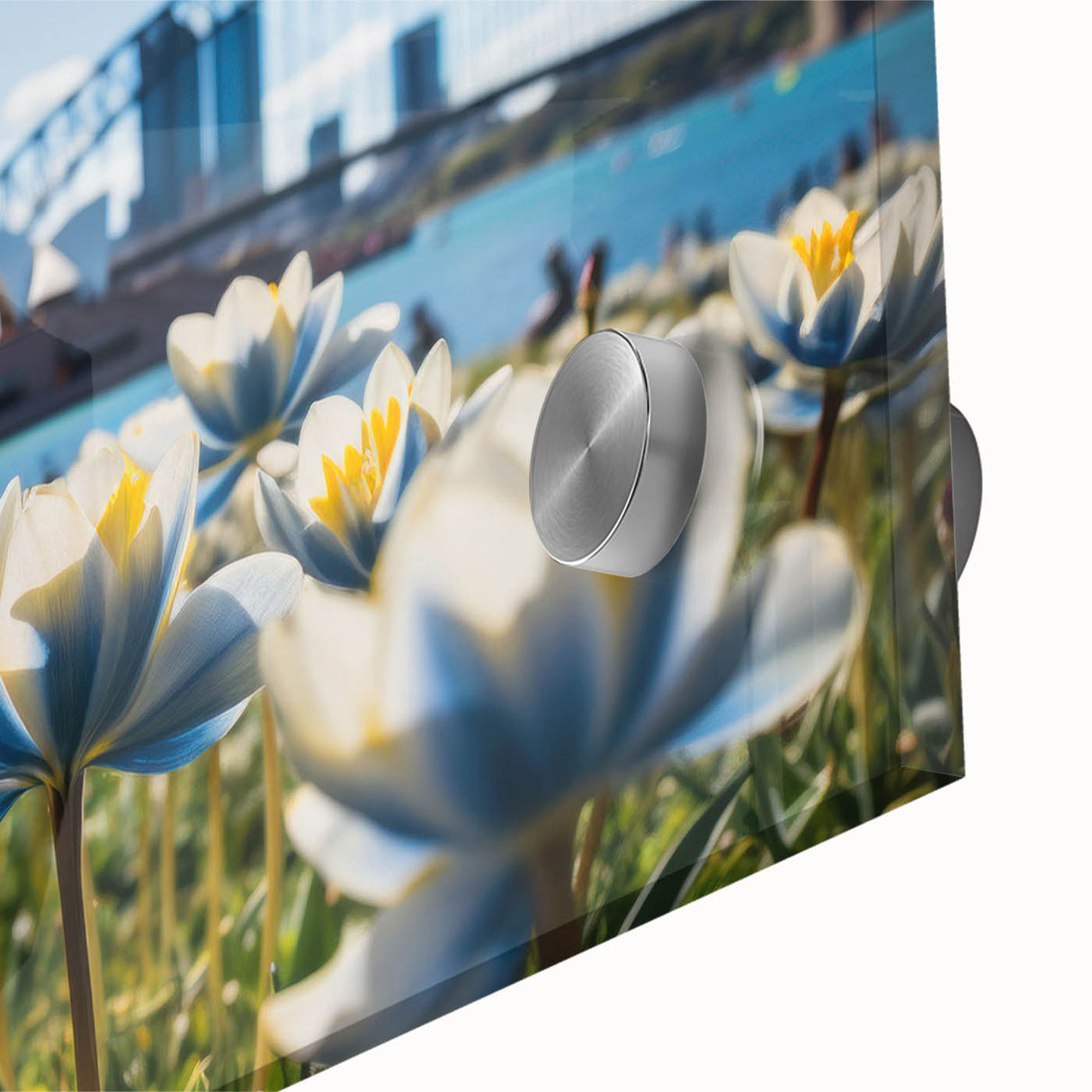 Large abstract depiction of Sydney scenery in muted earth tones on acrylic glass, suitable for dining room art.