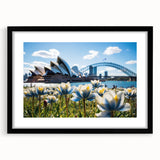 Extra large abstract art print of Sydney scenery in vibrant colors on a textured canvas, ideal for living room decor.