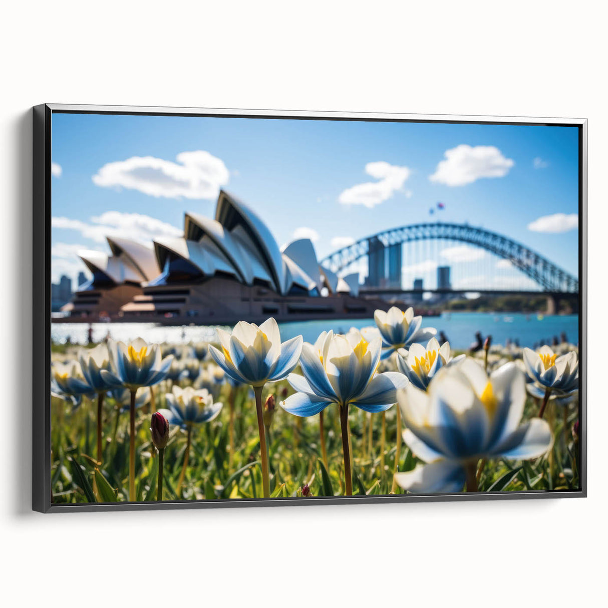 Black and white framed canvas of Sydney landscape, ideal for bedroom wall art.