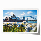 Sydney skyline in muted gray tones on a large rolled canvas, suitable for dining room wall art.