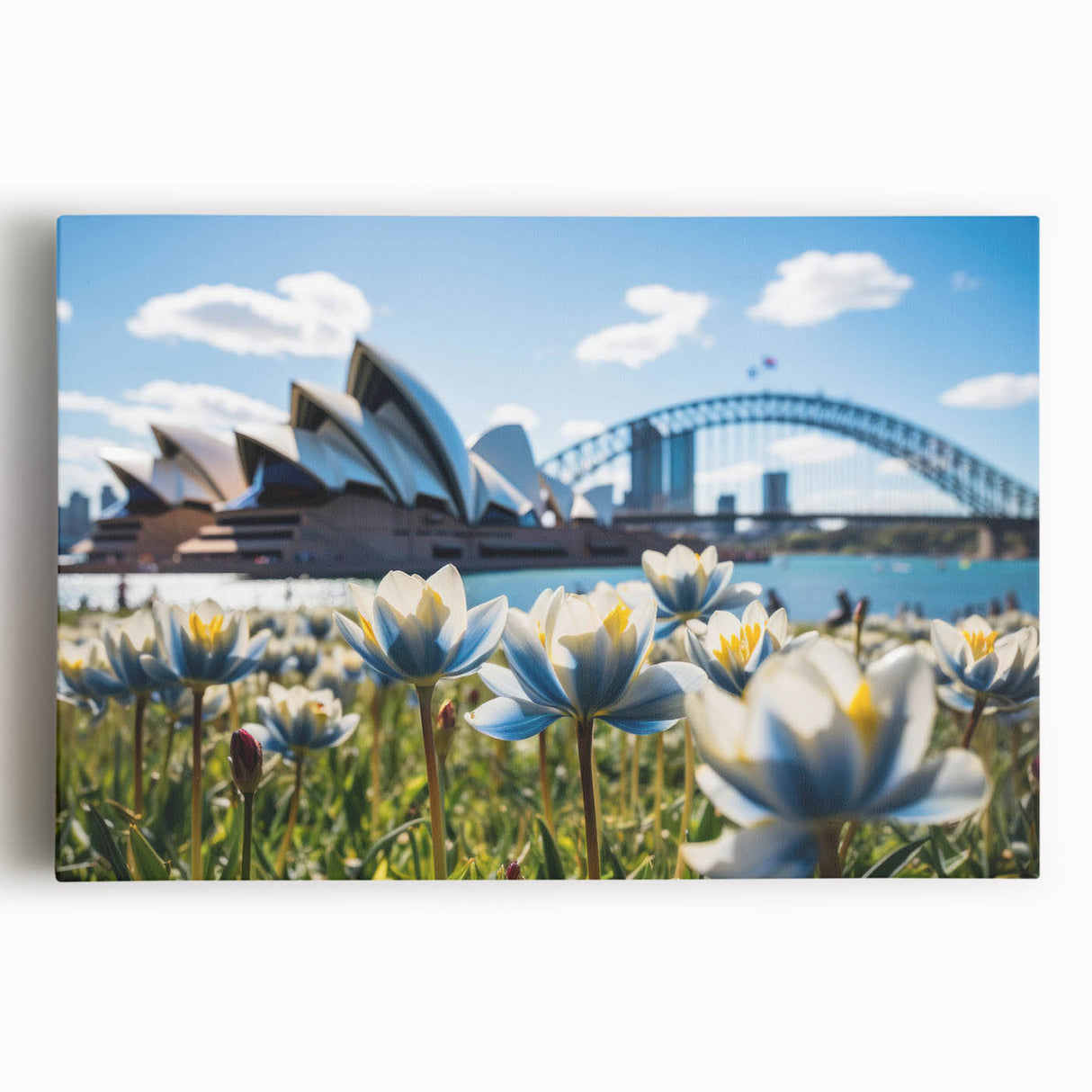 Black and white photo of Sydney skyline on large stretched canvas, ideal for kitchen wall art or bedroom ambiance.