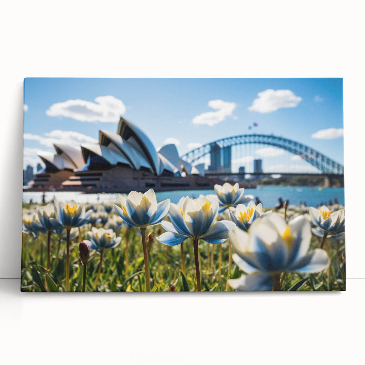 Black and white stretched canvas of Sydney skyline, ideal for kitchen wall art.