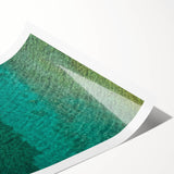 Extra large wall art featuring line art flowers with vibrant Caribbean scenery on a rolled print.