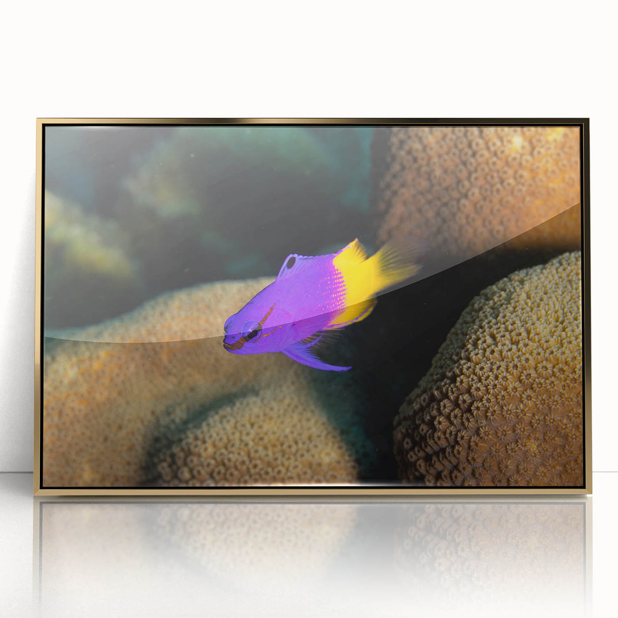 Acrylic print of a Caribbean Virgin Islands scenery in a gold frame, featuring serene blue and green tones.