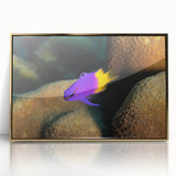 Acrylic print of a Caribbean Virgin Islands scenery in a gold frame, featuring serene blue and green tones.