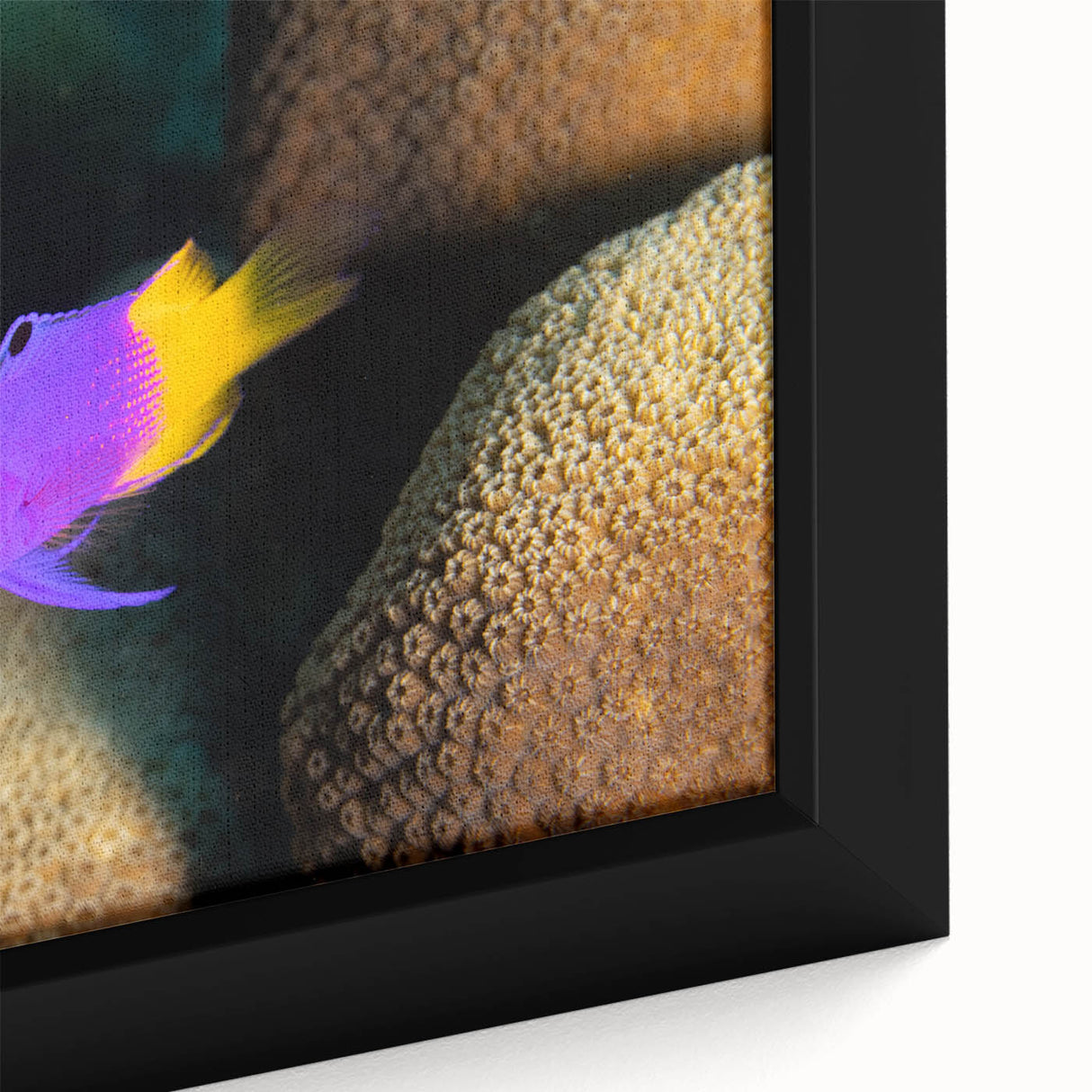 Black wall art featuring a textured close-up of the Caribbean Virgin Islands in vibrant colors on a framed canvas.