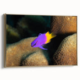 Framed canvas depicting a serene Caribbean landscape with lush greenery and calm blue waters, ideal for bedroom wall art.