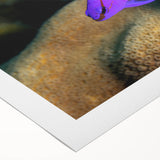 Art deco poster featuring a serene Caribbean beach scene on rolled canvas, suitable for dining room or bathroom wall art.
