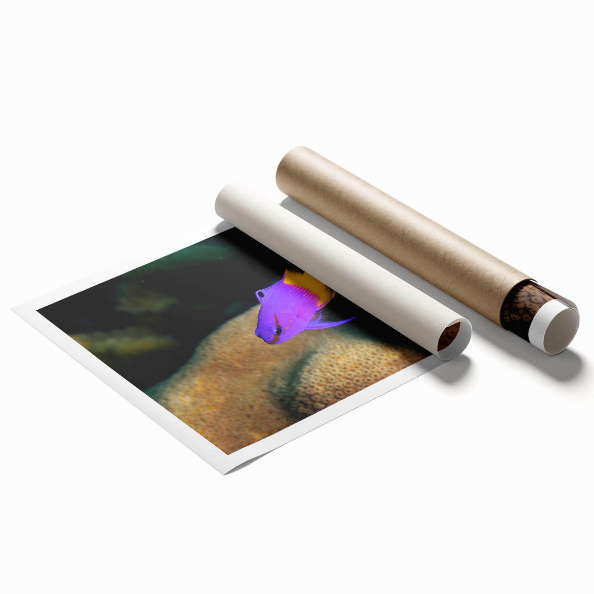 Rolled print of the Virgin Islands with lush greenery and blue waters, ideal for classy bathroom wall art.