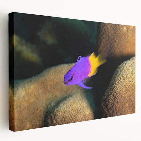 Stretched canvas print of the Caribbean Virgin Islands with vibrant blue and green tones, ideal for kitchen wall art.
