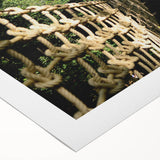 Art deco poster of a Central American scenery in Belize, featuring vibrant green and blue tones on rolled canvas.