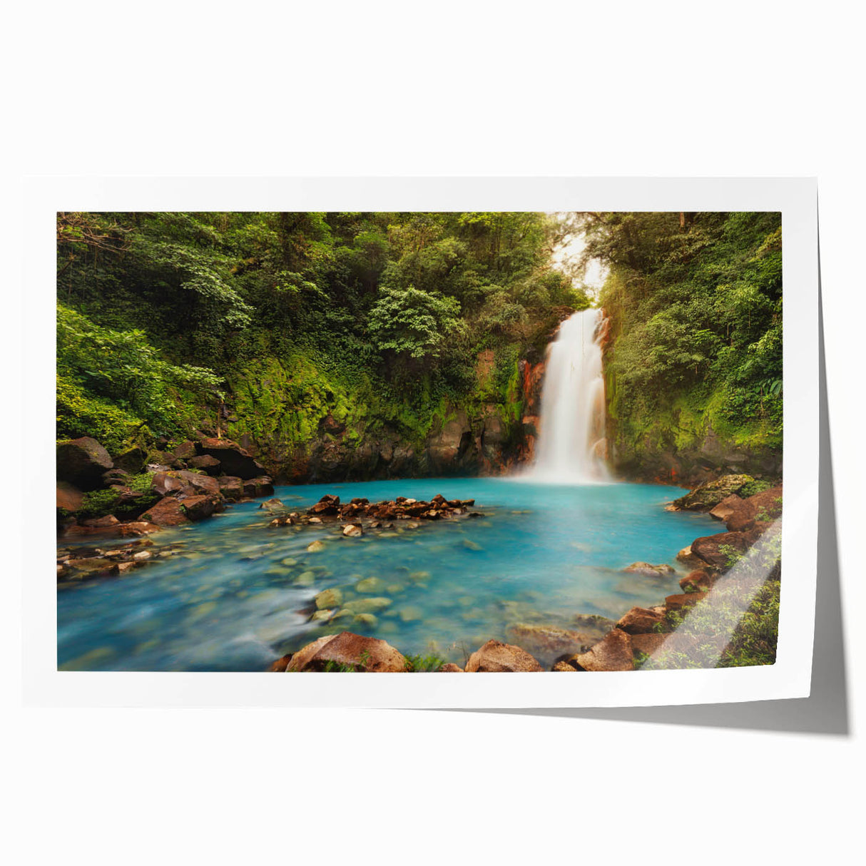 Extra large rolled print of a vibrant Costa Rican landscape with lush florals, ideal for art wall dining room.
