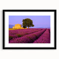 Extra large framed wall art depicting an abstract, colorful Provence scenery in textured style, ideal for living room decor.