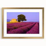 Abstract art print of a Provence landscape in muted earth tones on a framed canvas, suitable for dining room decor.
