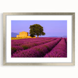 Extra large textured abstract art print of Provence scenery in silver frame, ideal for living room decor.