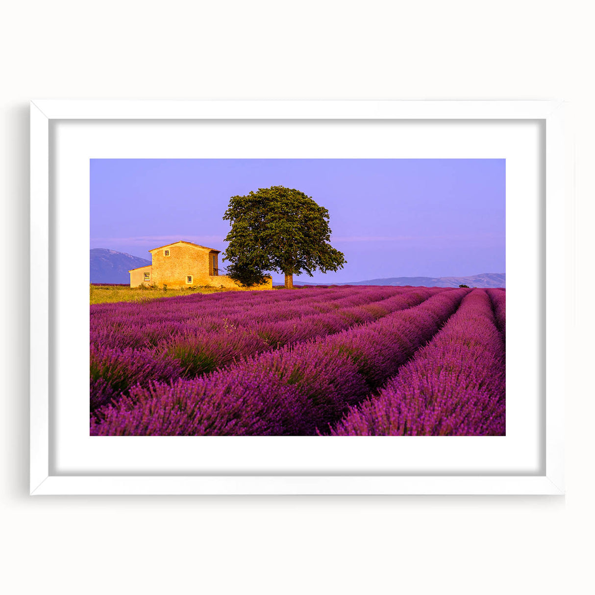Textured art depicting an abstract scenery of Provence, France, in muted earth tones, framed with a white mat.