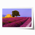 Rolled print of Provence landscape with lavender fields in pastel colors, suitable as art wall dining room decor.