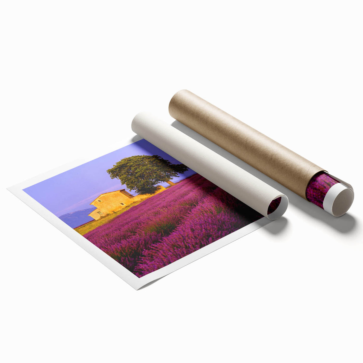 Extra large rolled print of a Provencal landscape with vibrant green and lavender fields, ideal for classy bathroom wall art.