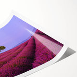 Extra large wall art featuring line art flowers in muted tones on a rolled print, ideal for large living room decor.