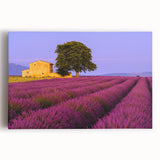 Black and white stretched canvas of Provence scenery, ideal for kitchen wall art.