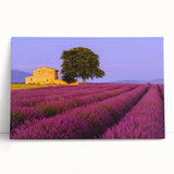 Black and white large art print of Provence scenery on stretched canvas, ideal for kitchen wall art.