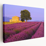Provence landscape on stretched canvas, featuring lavender fields under a clear sky, ideal for kitchen wall art.