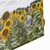 Large abstract wall art depicting a south France scenery in mid-century modernist style on acrylic glass.