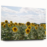 Acrylic print of a large abstract depiction of Southern France in muted earth tones, suited for bedroom or dining room decor.