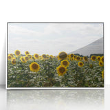 Mid-century modernist art depicting a serene French southern landscape on a white-framed acrylic print.