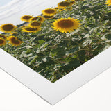 Art deco poster of a scenic South France landscape in muted pastels on rolled canvas, ideal for dining room wall art.