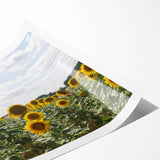 Extra large wall art featuring line art flowers in soft pastel shades on a rolled print.