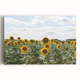 Black and white image of a scenic South France landscape on stretched canvas, ideal for kitchen wall art.