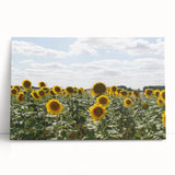 Black and white large art print of a scenic French village on stretched canvas, ideal for kitchen wall art.