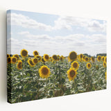 Large canvas print of a scenic southern France landscape in soft pastel colors, ideal for kitchen wall art.