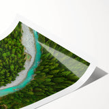 Extra large wall art featuring line art flowers in muted earth tones, printed on rolled canvas.