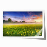 Extra large rolled canvas print featuring a serene Ukrainian landscape with vibrant green fields and a clear blue sky.