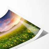 Extra large wall art featuring line art flowers in black on a white background, ideal for large living room decor.