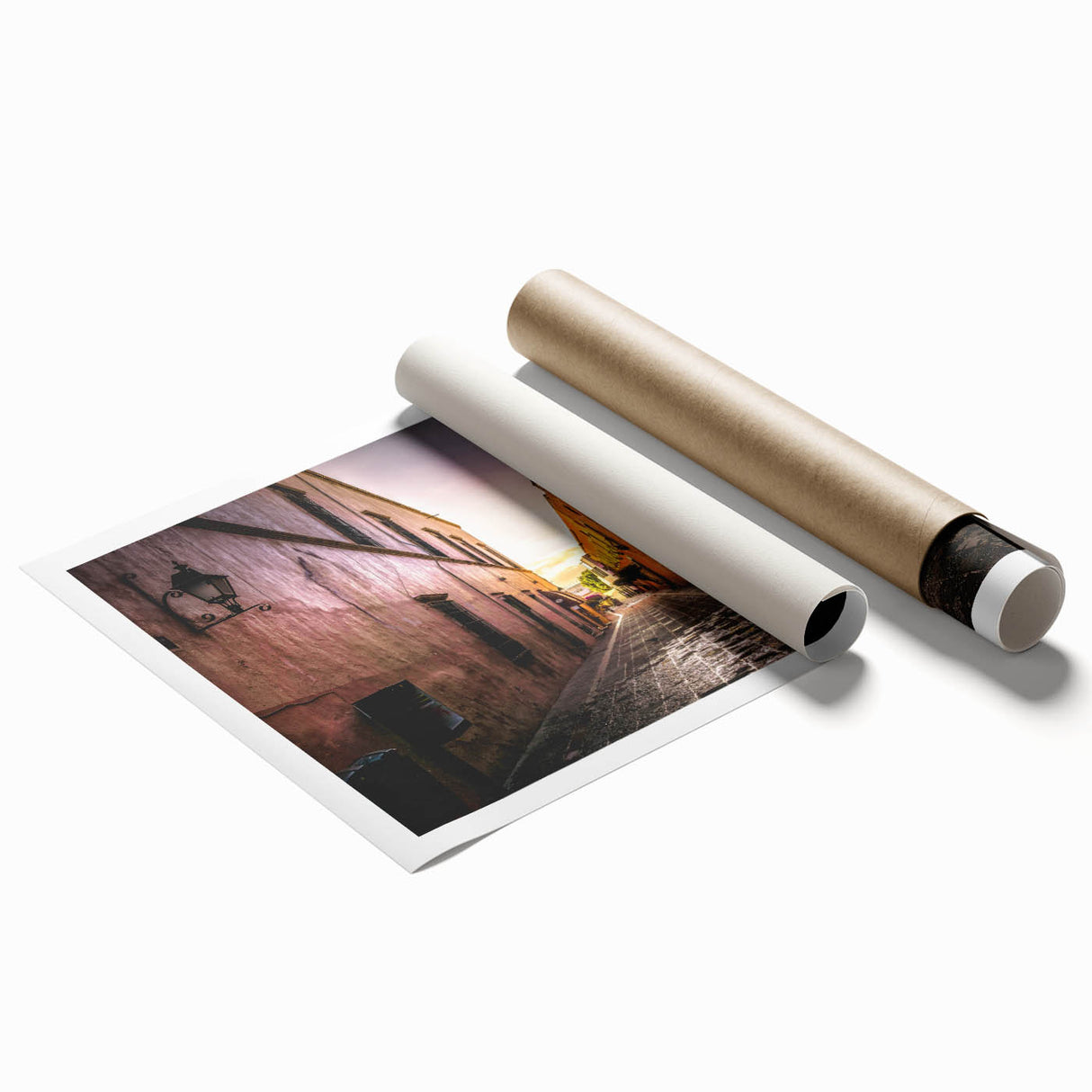 Extra large rolled print of Mexico City scenery with vibrant floral elements, ideal for classy bathroom wall art.