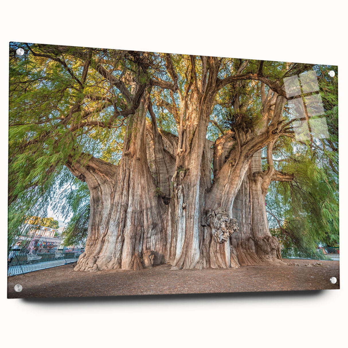 Acrylic print of a large abstract landscape depicting Oaxaca, Mexico, in muted earth tones.