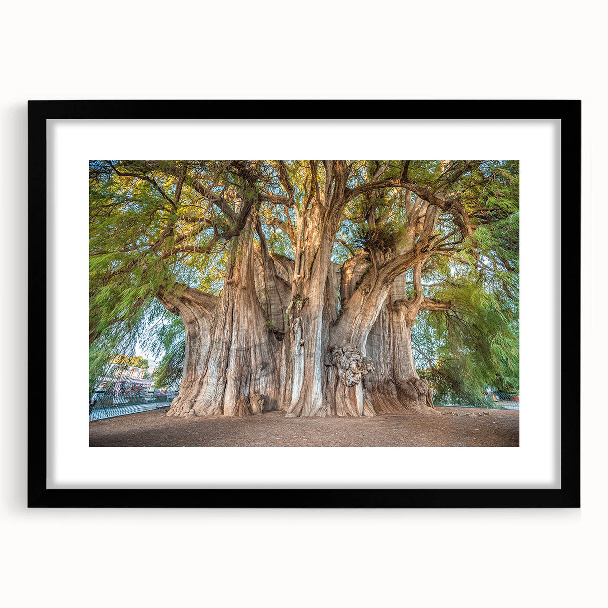 Extra large, textured abstract art print featuring vibrant colors of Oaxaca scenery on a framed black mat.