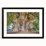 Extra large, textured abstract art print featuring vibrant colors of Oaxaca scenery on a framed black mat.