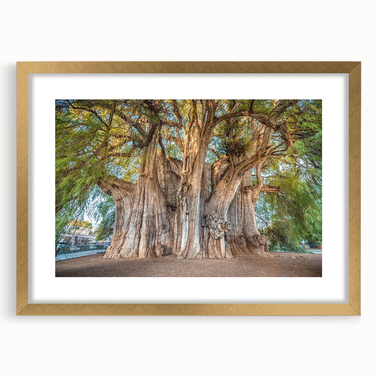 Extra large abstract art print of Oaxaca scenery in textured style, with gold frame, ideal for living room decor.