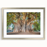 Textured abstract art print of Oaxaca scenery in muted earth tones, silver-framed with mat, suitable for bedroom decor.