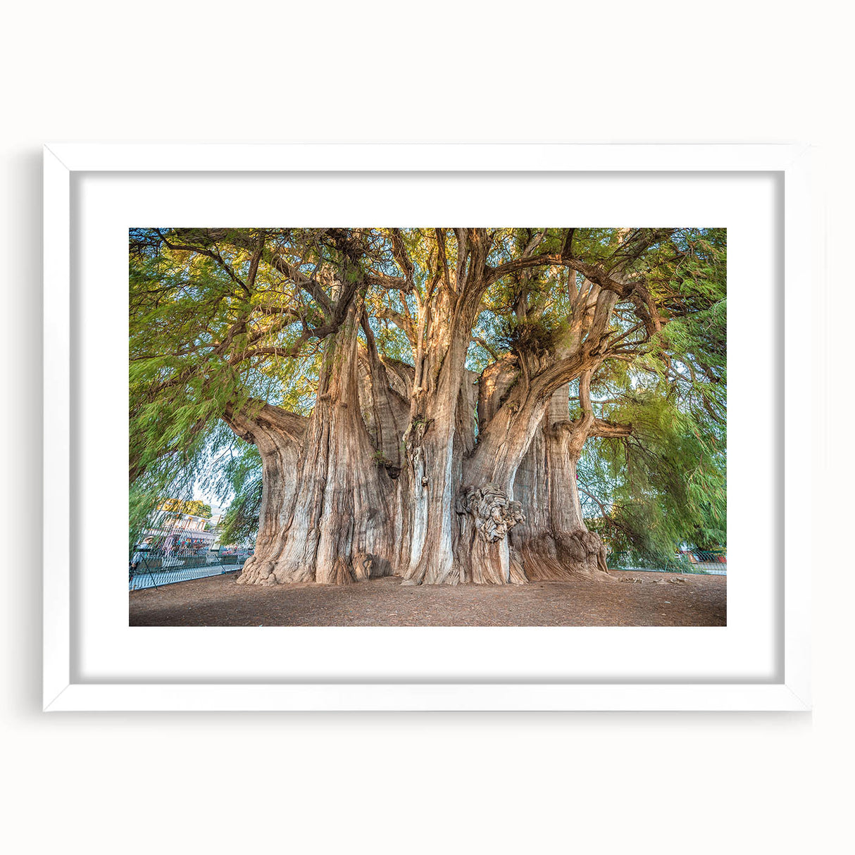Abstract art print of Oaxaca scenery in muted earth tones on a white framed mat, suitable for dining room decor.