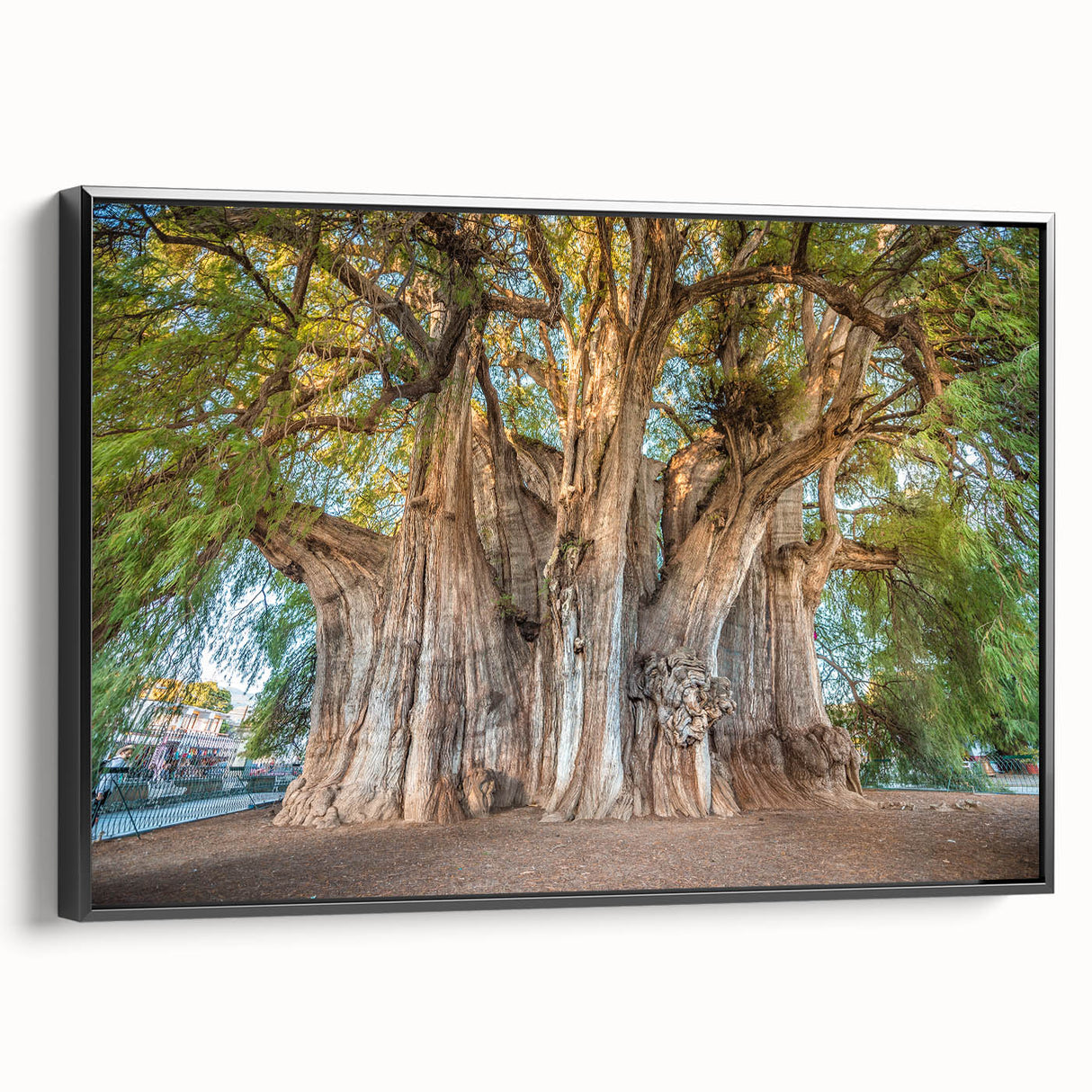 Black and white framed canvas of Oaxaca landscape, vintage poster art style, ideal for bedroom decor.