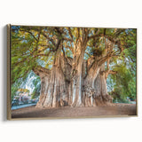 Framed canvas depicting a vintage-style landscape painting of Oaxaca, Mexico, in gold and black tones.