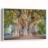 Vintage poster art of Oaxaca scenery on a framed canvas, featuring vibrant colors against a black background.