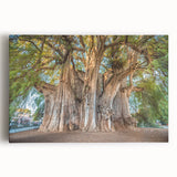 Large black and white print of Oaxaca scenery on stretched canvas, suitable for kitchen wall art.