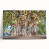 Black and white stretched canvas of Oaxaca scenery, ideal for kitchen wall art or bedroom ambiance.