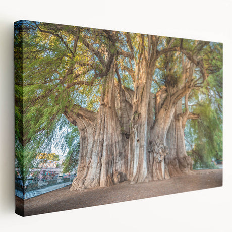 Side view of a stretched canvas featuring a scenic Oaxaca landscape in earthy tones, suitable for kitchen wall art.